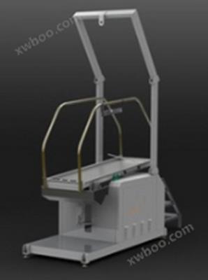 電梯防滑性能試驗(yàn)機(jī)